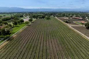 3173 Roblar Ave, Santa Ynez, CA 93460 - Photo 27
