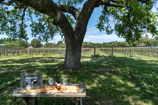 3173 Roblar Ave, Santa Ynez, CA 93460 - Photo 49