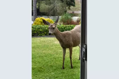 4314 W Ocean Avenue, Lompoc, CA 93436 - Photo 29