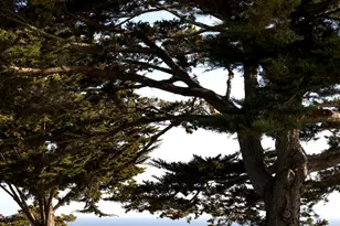 4145 Creciente Dr, Santa Barbara, CA 93110 - Photo 15