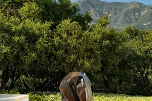 356 Woodley Rd, Montecito, CA 93108 - Photo 35