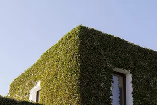 356 Woodley Rd, Montecito, CA 93108 - Photo 55