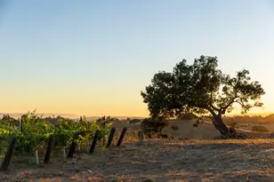 3001 Long Valley Rd, Santa Ynez, CA 93460 - Photo 45