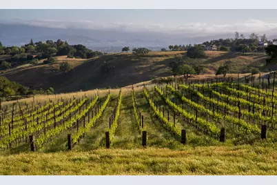 3001 Long Valley Road, Santa Ynez, CA 93460 - Photo 47