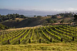 3001 Long Valley Rd, Santa Ynez, CA 93460 - Photo 47