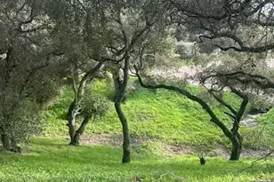 6870 Long Canyon Rd, Santa Maria, CA 93454 - Photo 47