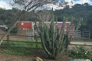 6870 Long Canyon Rd, Santa Maria, CA 93454 - Photo 51