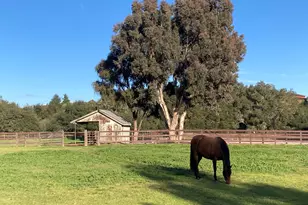 1642 Alamo Pintado Rd, Solvang, CA 93463 - Photo 75