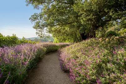 1140 E Mountain Drive, Santa Barbara, CA 93108 - Photo 47