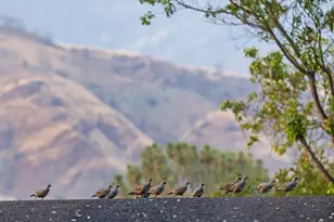 4600 Tim's Rd, Santa Ynez, CA 93460 - Photo 59