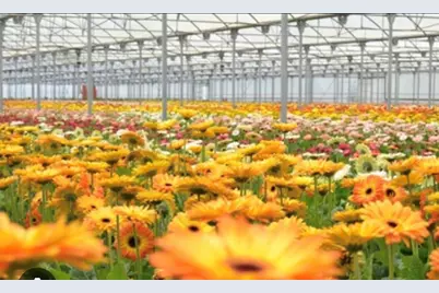 5138 Foothill Road, Carpinteria, CA 93013 - Photo 3