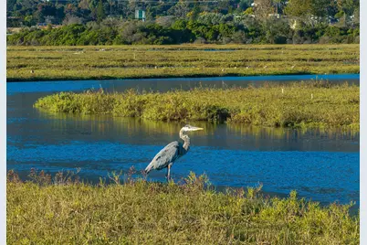 571 Sand Point Road, Carpinteria, CA 93013 - Photo 19