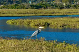 571 Sand Point Rd, Carpinteria, CA 93013 - Photo 19