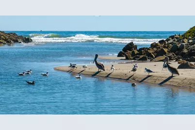 571 Sand Point Road, Carpinteria, CA 93013 - Photo 21