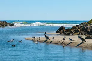 571 Sand Point Rd, Carpinteria, CA 93013 - Photo 21