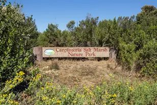 4700 Sandyland Rd, Carpinteria, CA 93013 - Photo 25