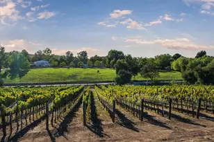 5445 Baseline Ave, Santa Ynez, CA 93460 - Photo 45