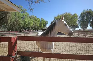 2000 N Refugio Rd, Santa Ynez, CA 93460 - Photo 29