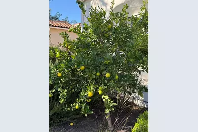 3020 Puesta Del Sol, Santa Barbara, CA 93105 - Photo 29