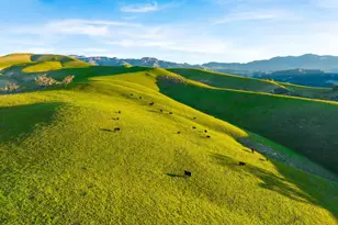 1750 Rambling Oaks Rd, Santa Ynez, CA 93460 - Photo 33