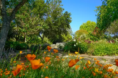 1516 Monarch Drive, Santa Ynez, CA 93460 - Photo 29