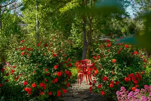 1516 Monarch Dr, Santa Ynez, CA 93460 - Photo 39