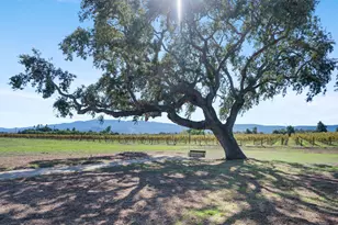 1645 Still Meadow Rd, Solvang, CA 93463 - Photo 53