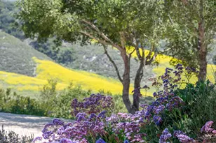 760 Falcon Ridge Ln, Buellton, CA 93427 - Photo 43