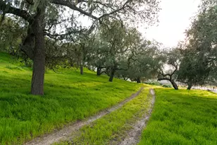 9985 Alisos Canyon Rd, Los Alamos, CA 93440 - Photo 25