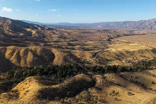 2170 Aliso Park Rd, Cuyama, CA 93254 - Photo 51