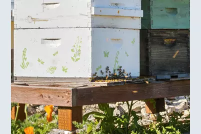 3226 Jalama Road, Lompoc, CA 93436 - Photo 41