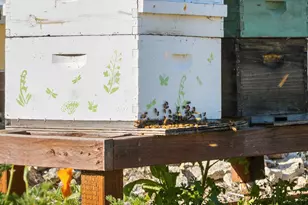 3226 Jalama Rd, Lompoc, CA 93436 - Photo 41