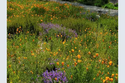 3226 Jalama Road, Lompoc, CA 93436 - Photo 45
