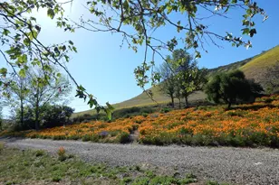 3226 Jalama Rd, Lompoc, CA 93436 - Photo 27