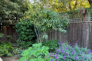 118 E Islay St, Santa Barbara, CA 93101 - Photo 41