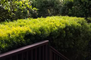 1811 Prospect Ave, Santa Barbara, CA 93103 - Photo 43