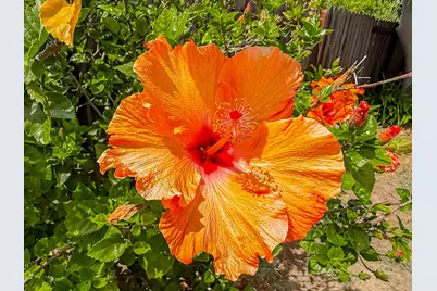 305 Lexington Avenue, Goleta, CA 93117 - Photo 57