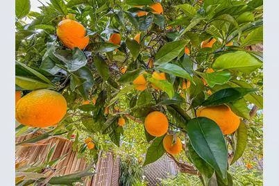 5377 Agana Drive, Santa Barbara, CA 93111 - Photo 59