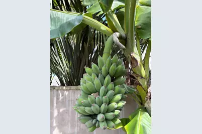 1315 Virginia Road, Montecito, CA 93108 - Photo 35