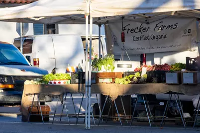 1430 Linhere Drive, Carpinteria, CA 93013 - Photo 31