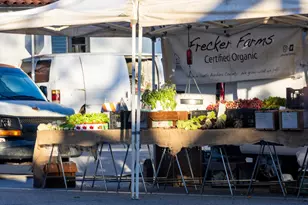 1430 Linhere Dr, Carpinteria, CA 93013 - Photo 31