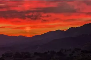 2911 Holly Rd, Santa Barbara, CA 93105 - Photo 9