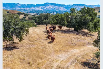 2551 Us-101, Buellton, CA 93427 - Photo 47
