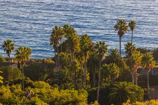 737 Sea Ranch Dr, Santa Barbara, CA 93109 - Photo 17