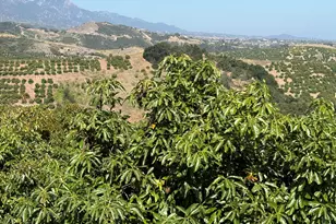 [Address not provided], Goleta, CA 93111 - Photo 31