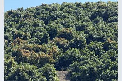 [Address not provided], Goleta, CA 93111 - Photo 29
