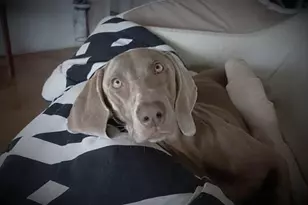 1324 Kenwood Rd, Santa Barbara, CA 93109 - Photo 77