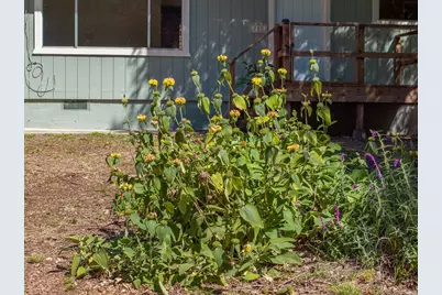 870 Lasalle Canyon Road, Lompoc, CA 93436 - Photo 33