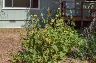 870 Lasalle Canyon Rd, Lompoc, CA 93436 - Photo 33