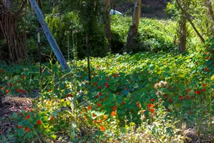 870 Lasalle Canyon Rd, Lompoc, CA 93436 - Photo 37